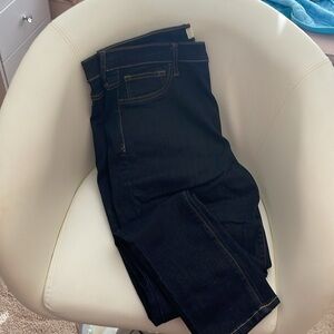 GAP Blue Skinny Jeans Classic Style